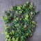 Green Hanging Eucalyptus Bush by Ashland®